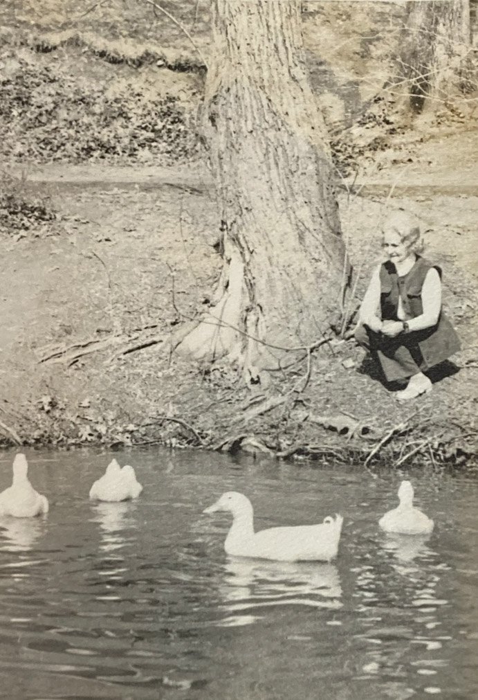 marjorie duck